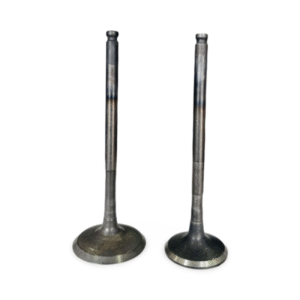 Yamaha VALVE EXHAUST FZ V1,