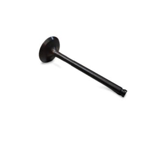 YAMAHA.. VALVE INTAKE RAYZR